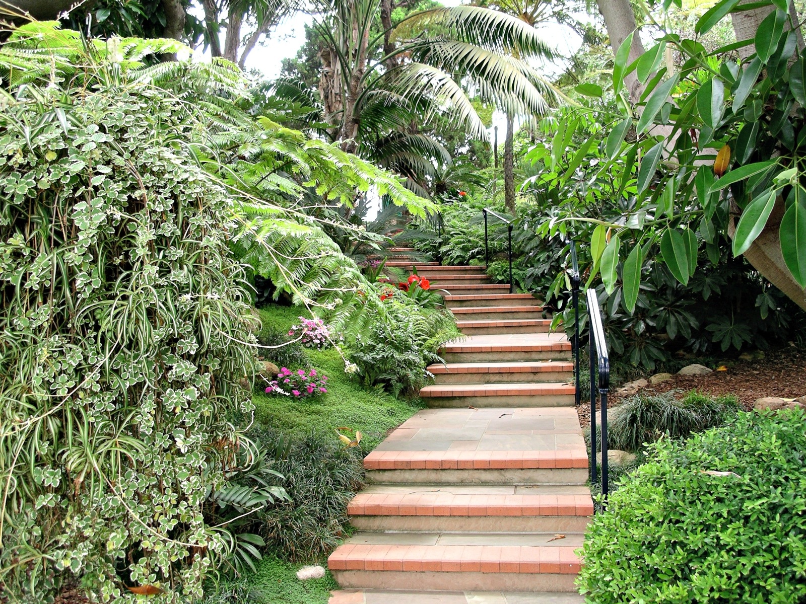 &ldquo;Forget the Past&rdquo;: A 10-Sonnet Sequence