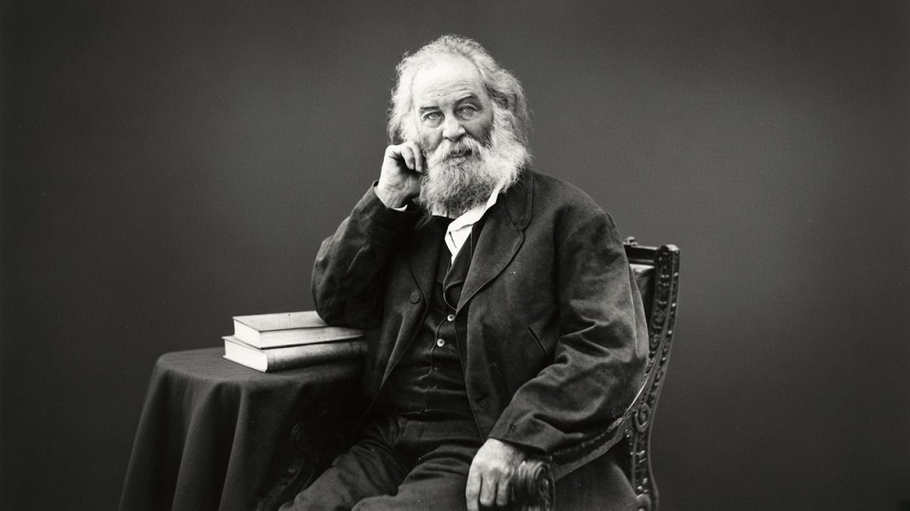 Image a:  Walt Whitman https://whitmanarchive.org/item/zzz.00034 - Mathew Brady - Walt Whitman Archive